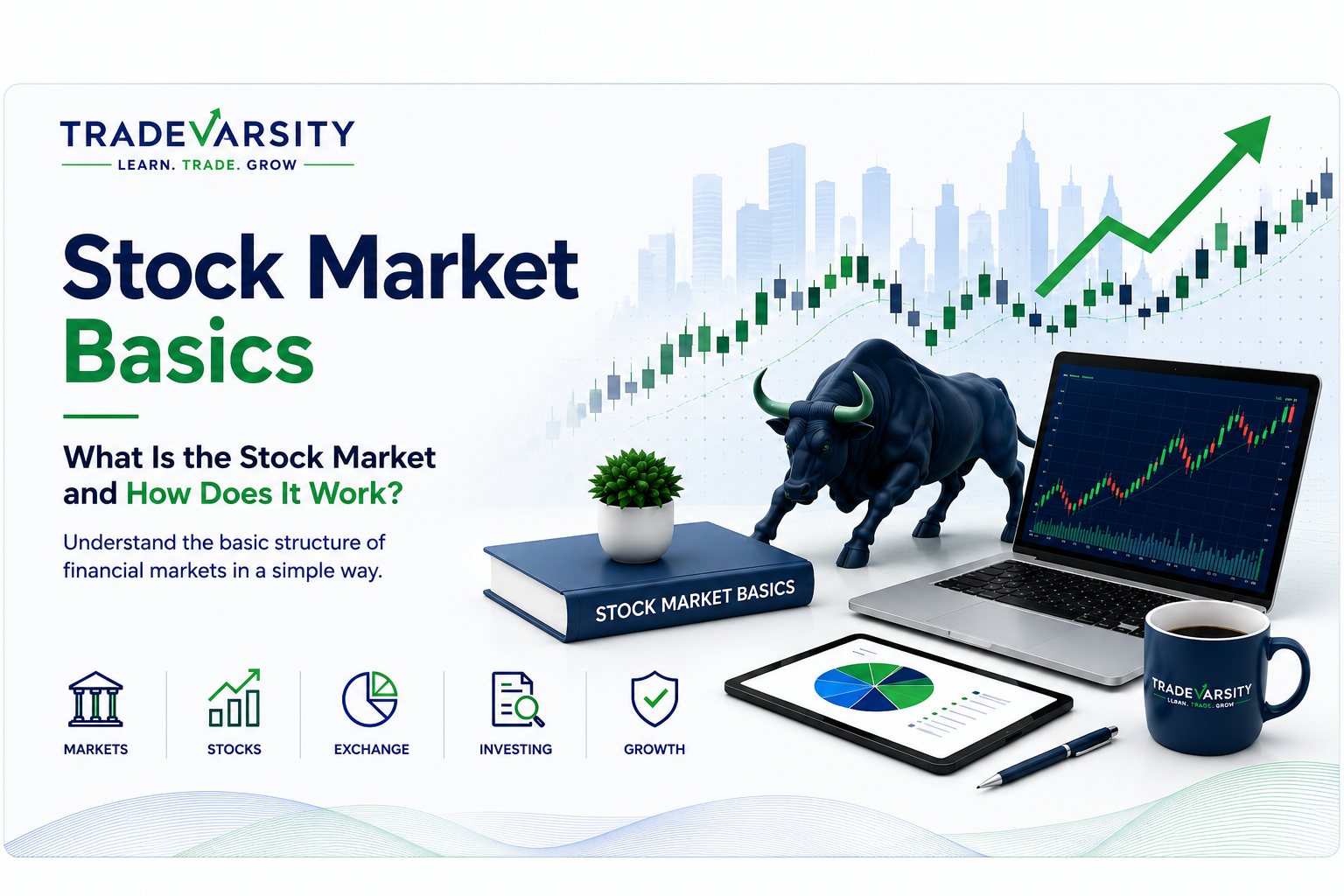 Stock Market Basics